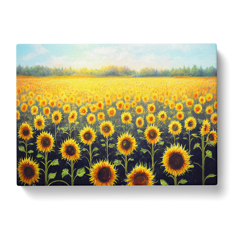 Iconic Sunflower Field - Wrapped Canvas, 35cm H x 50cm W x 3cm D