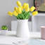 Tiges de tulipes-1272173551