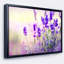 « purple lavande field », reproduction de photo encadrée sur toile tendue-26671041