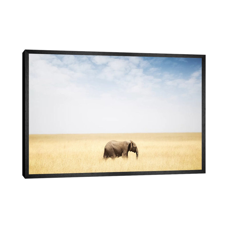 No Holiday by Susan Schmitz - Print on Canvas, 66.04cm H x 101.6cm W x 3.81cm D, Black Floater Framed