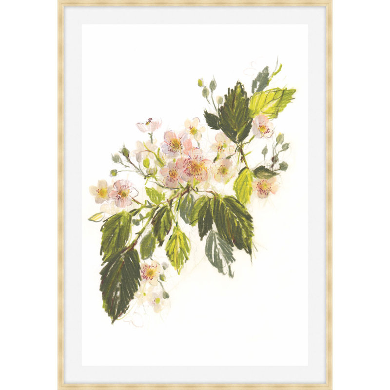 Blackberry Blossom 1 Print, 28.75" H x 20.75" W