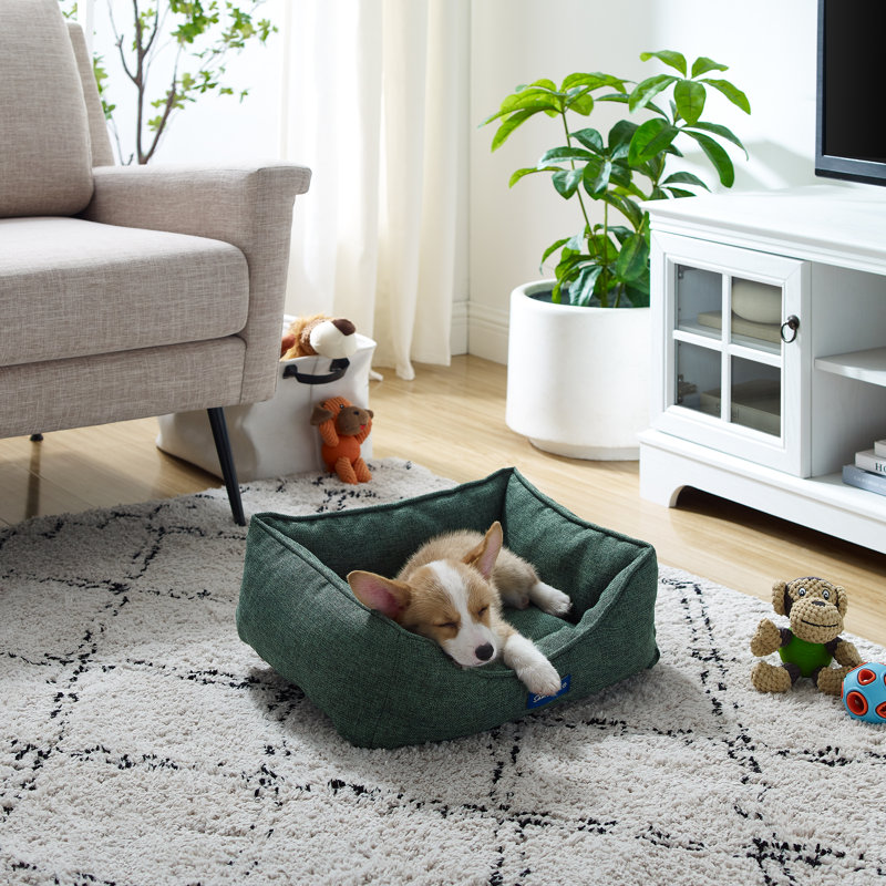 Julius Pet Bed, Small (24" W x 18.9" D x 7.09" H), Green