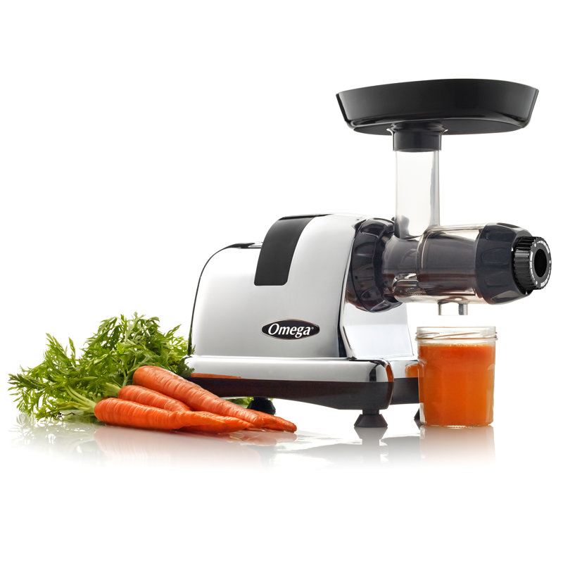 Omega Cold Press Slow Masticating Juicer