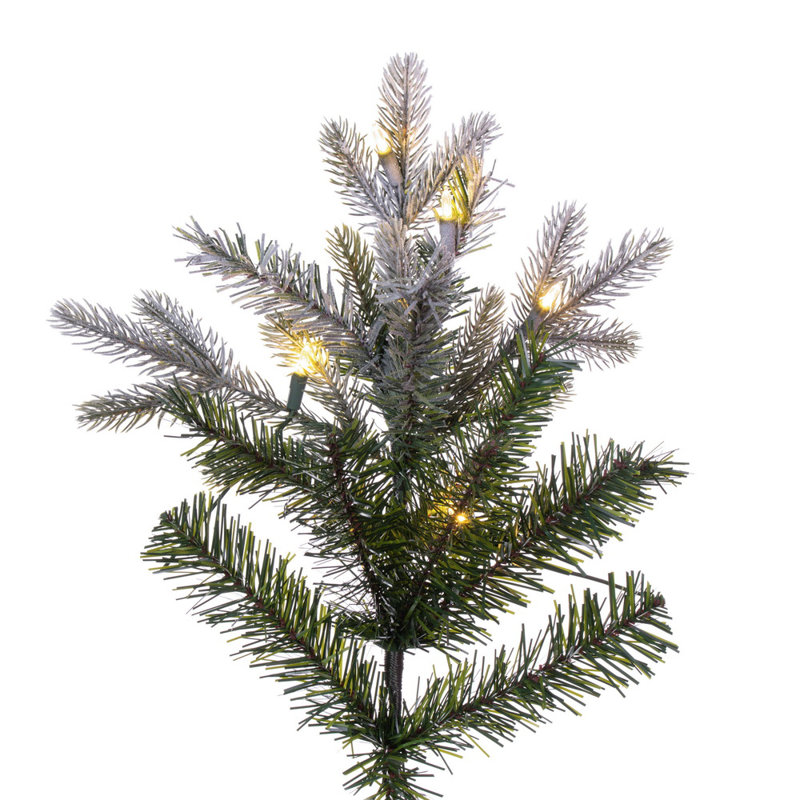 Hadewig 10' H Lighted Artificial Fir Christmas Tree