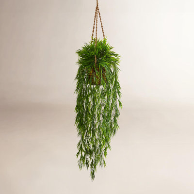 43'' Faux Bamboo Plant in Wicker/Rattan Basket