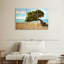 Arbre Gillard Divi-Divi à Aruba-107981609