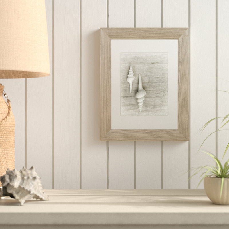 «Two White Shells», reproduction de photo encadrée, H 20 po x l 16 po x P 0,5 po, Noir