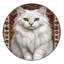  Tapis lavable Angora Turkish Cats-1709270469