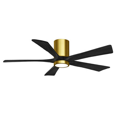 Irene Ceiling Fan with LED Light Kit