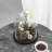 Vidu Display Clear Cloche with Wood Base