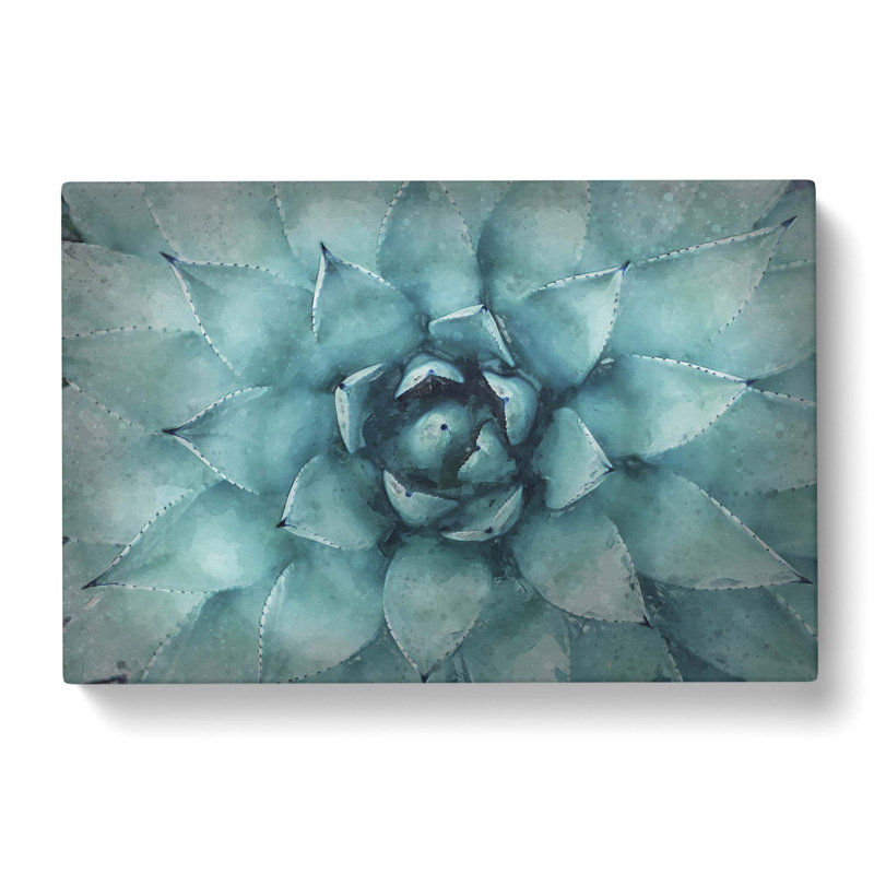 Centre of a Green Succulent Plant - Wrapped Canvas Graphic Art Print, 35cm H x 50cm W x 3cm D
