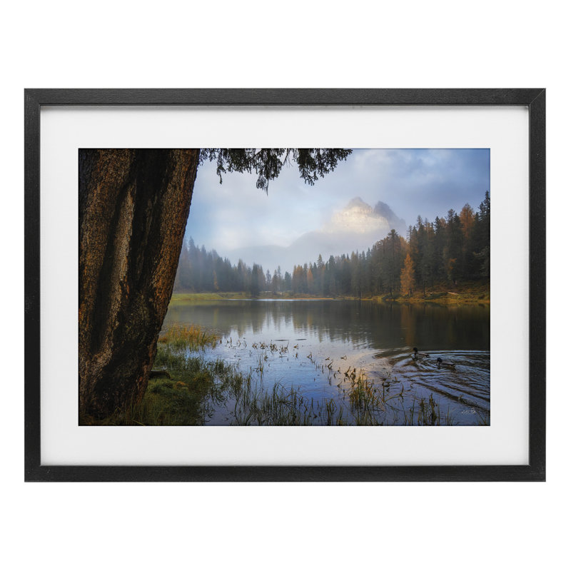 «Autumn Forest Reflections», reproduction d'art sous verre encadrée par Martin Podt, 14 x 20