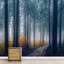 Murale Misty Trail in Dark Forest-88769761