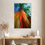 Eucalyptus arc-en-ciel-1089266774