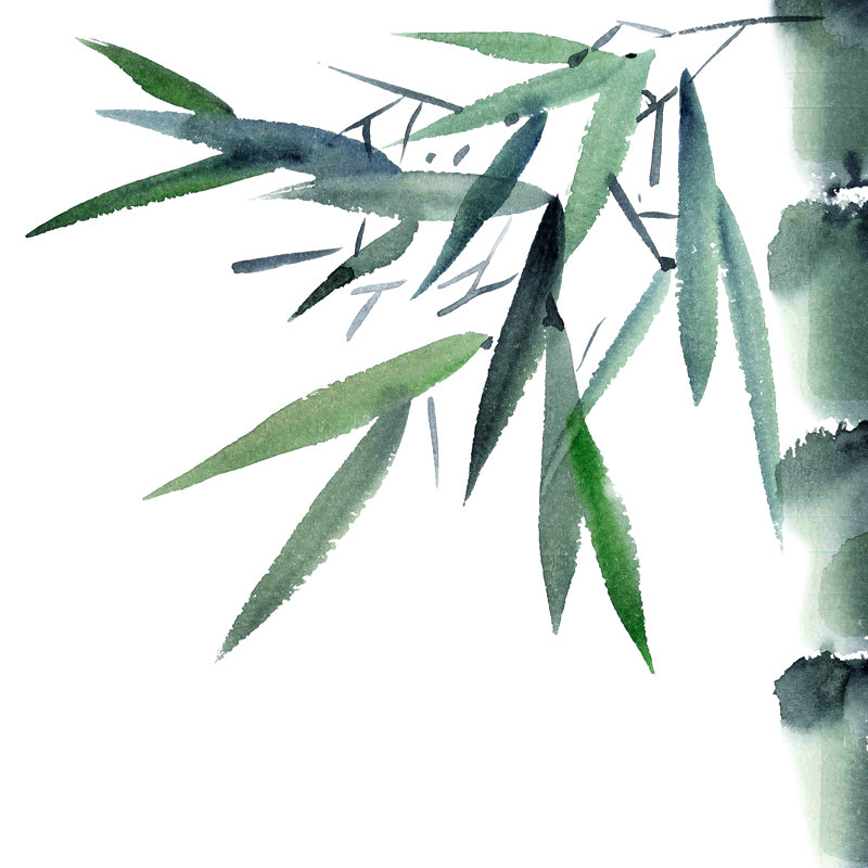 Illustration d'aquarelle en bambou par Ola_Tarakanova, H 12 po x l 12 po