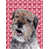 Border Terrier