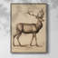 «Vintage Animal Print», reproduction encadrée en bois massif-566754930