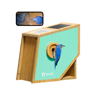 Cabane à oiseaux en bambou Birdfy, appareil photo 2MP, vision vidéo et vidéo de nuit, sans intempéries, à énergie solaire, toutes saisons