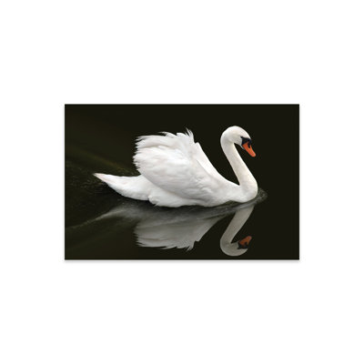 " Swan " by Ben Heine