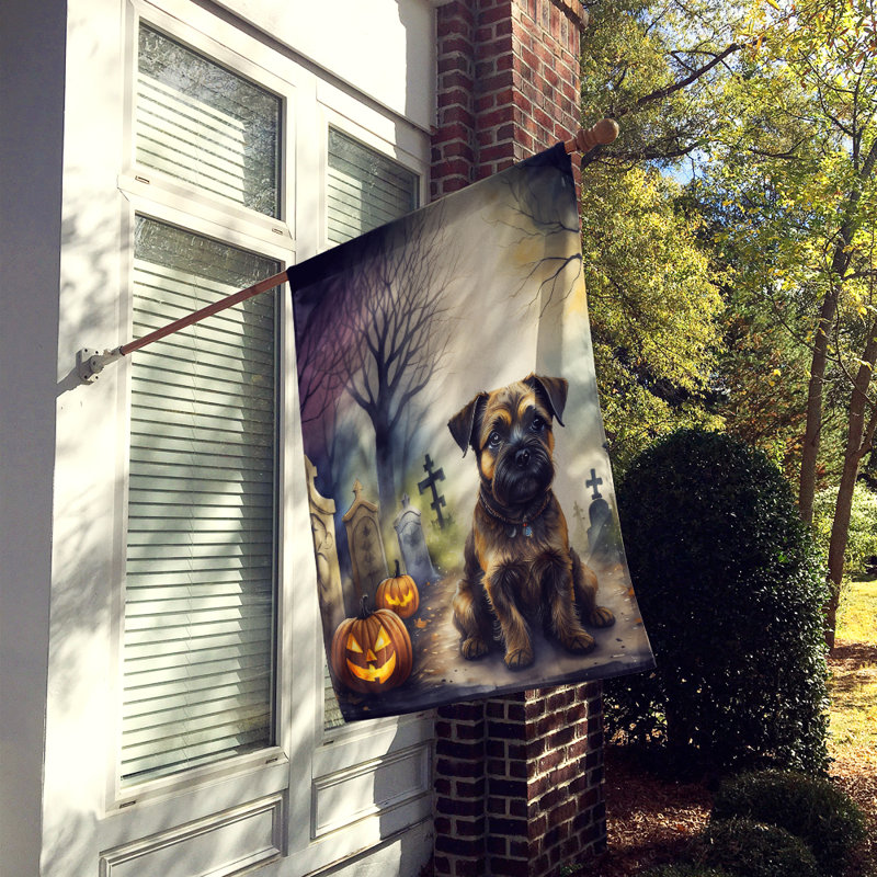 Drapeau de maison d'Halloween Border Terrier Spooky