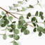 Paquet de 6 tiges artificielles d'eucalyptus