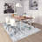 Abstract Indoor Rug-1646221269