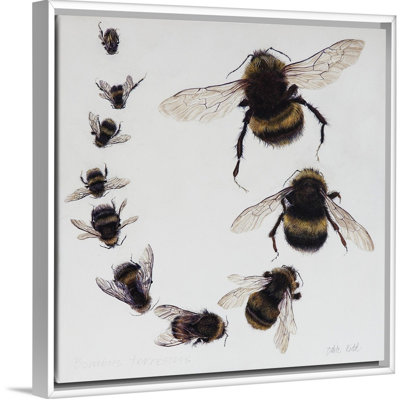 Bombus, 2015 - reproduction d'art