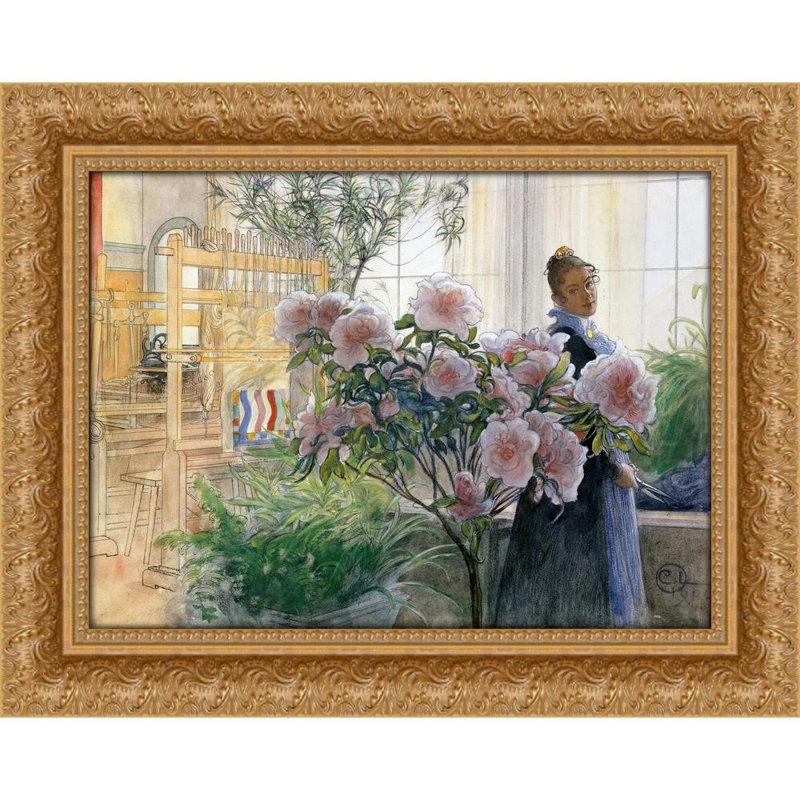 Azalea (1906)