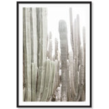 California Cactus Print by Carly Tabak