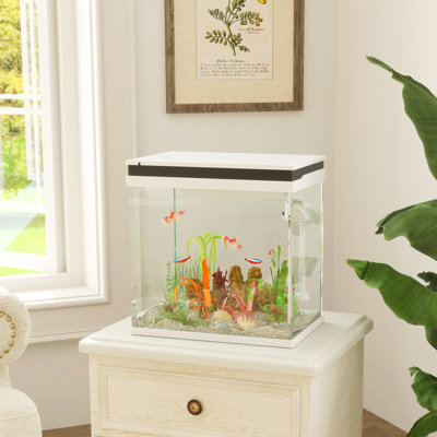Fish Bowl