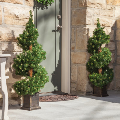Ginell Potted 3.5' Pre-Lit Fir Christmas Tree