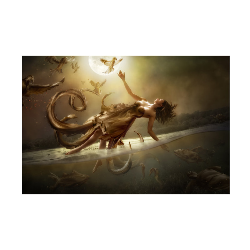 Christophe Kiciak Diversity Canvas Art, 12" H x 19" W
