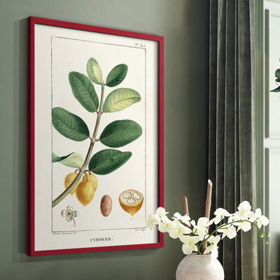 «Turpin Tropical Botanicals», reproduction encadrée en bois massif