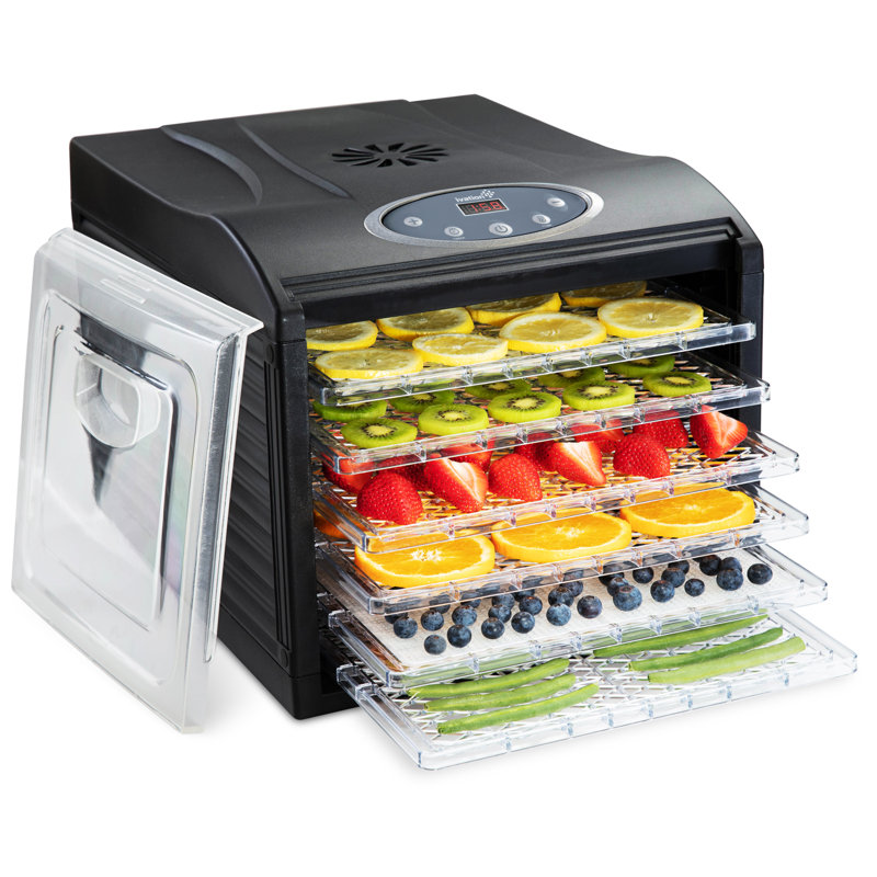 Déshydrateur pour aliments à 6 plateaux