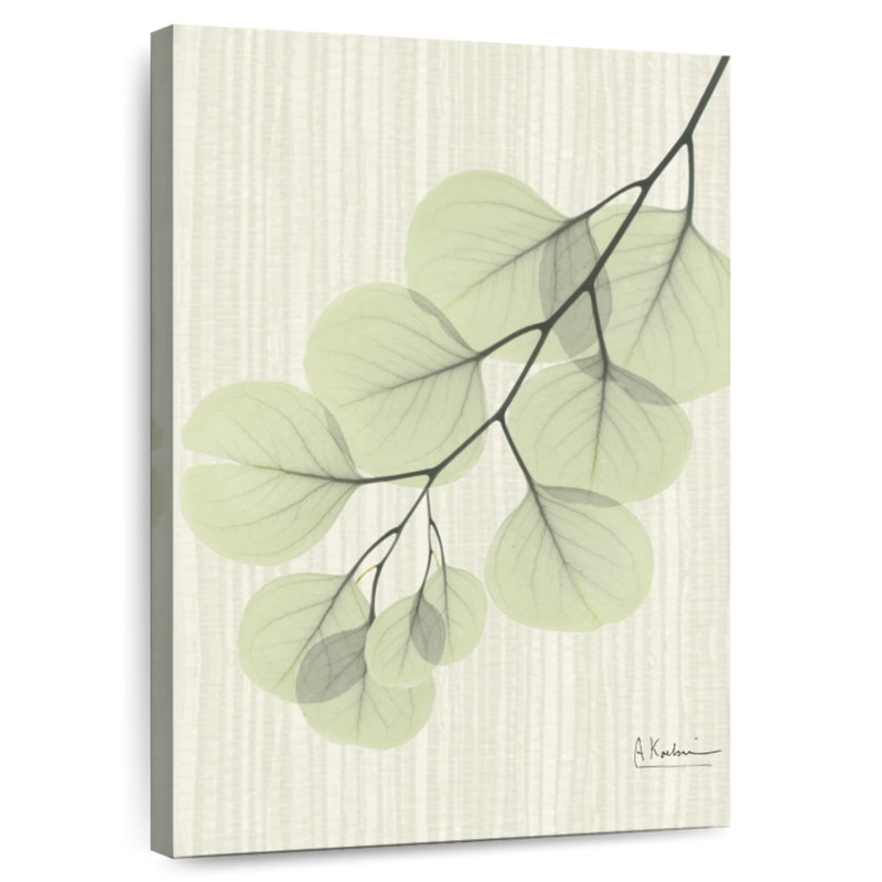 Harnek Eucalyptus VIII, 30" H x 20" W