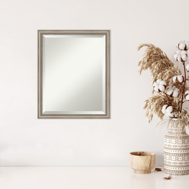 Miroir mural Carleena, Argent, 22 po x 18 po