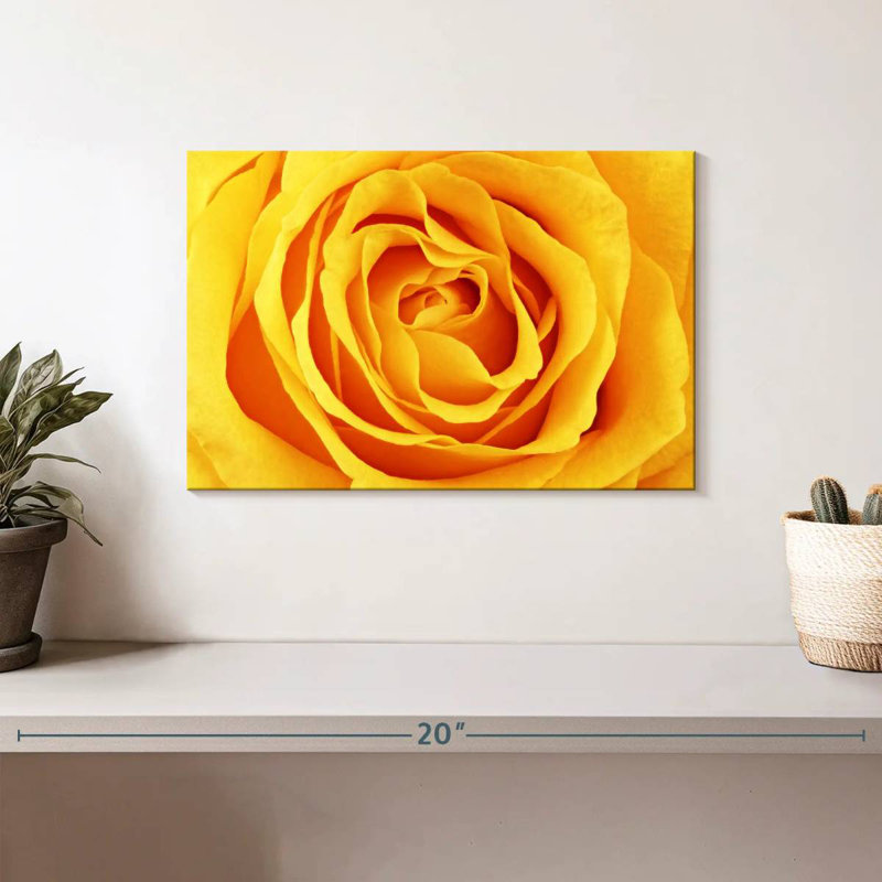Harnek Lemony Rose, 8" H x 12" W