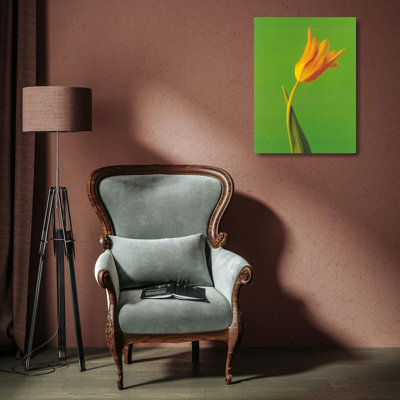 Tulip