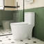Toilette allongée une pièce 1,1 / 1,6 GPF à hauteur de 16,5 ADA fixée au sol avec siège à fermeture en douceur, CUPC Watersense, céramique, blanc