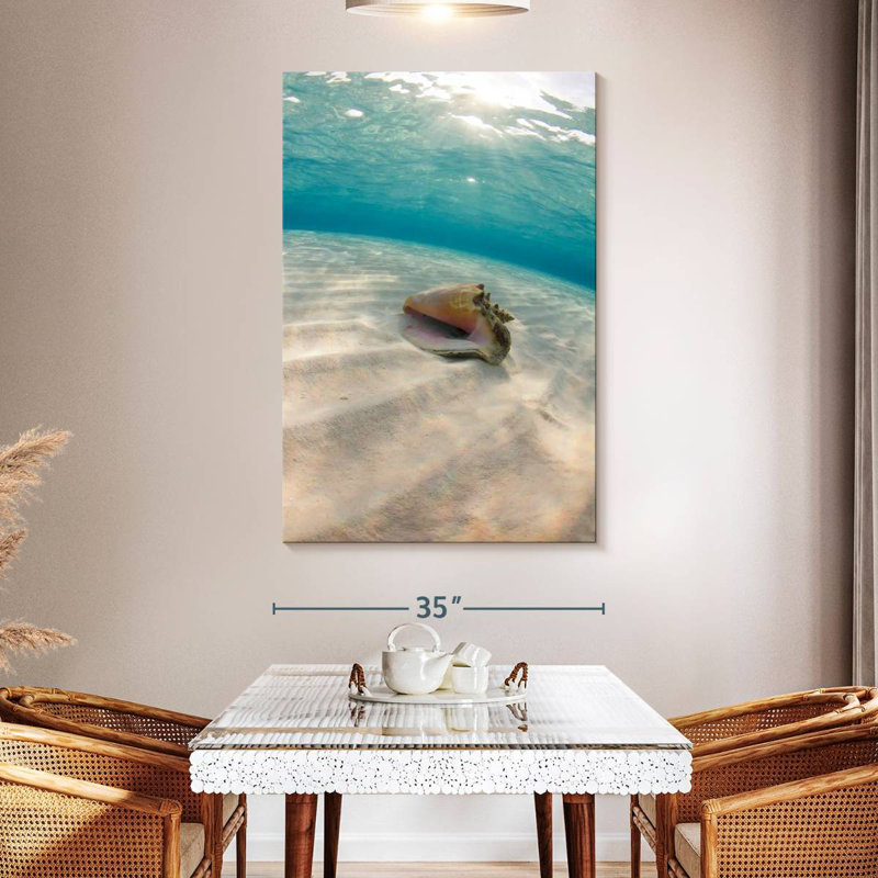 Aletra Underwater Seashell, 51" H x 34" W