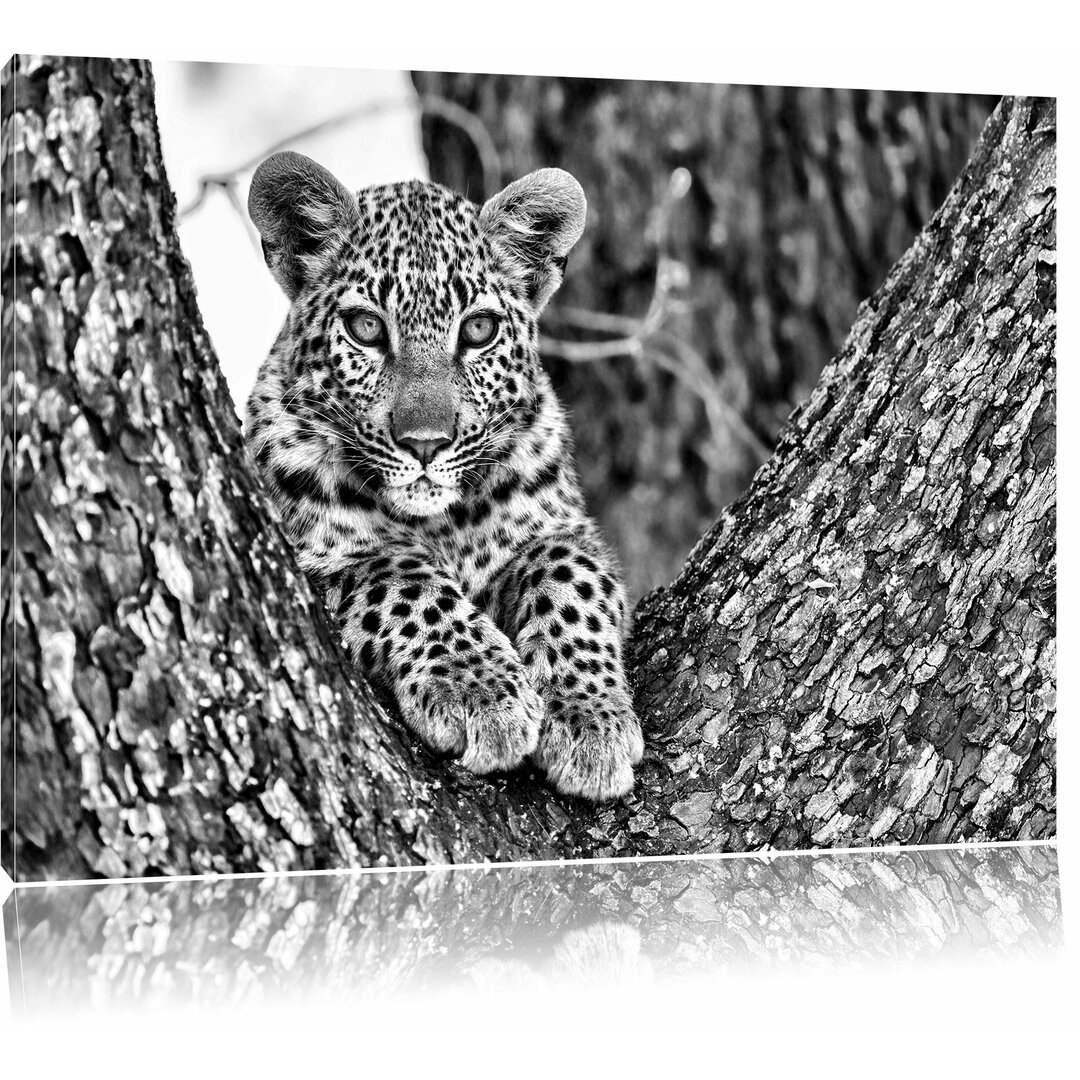 Leinwandbild Leopardenbaby in Monochrom