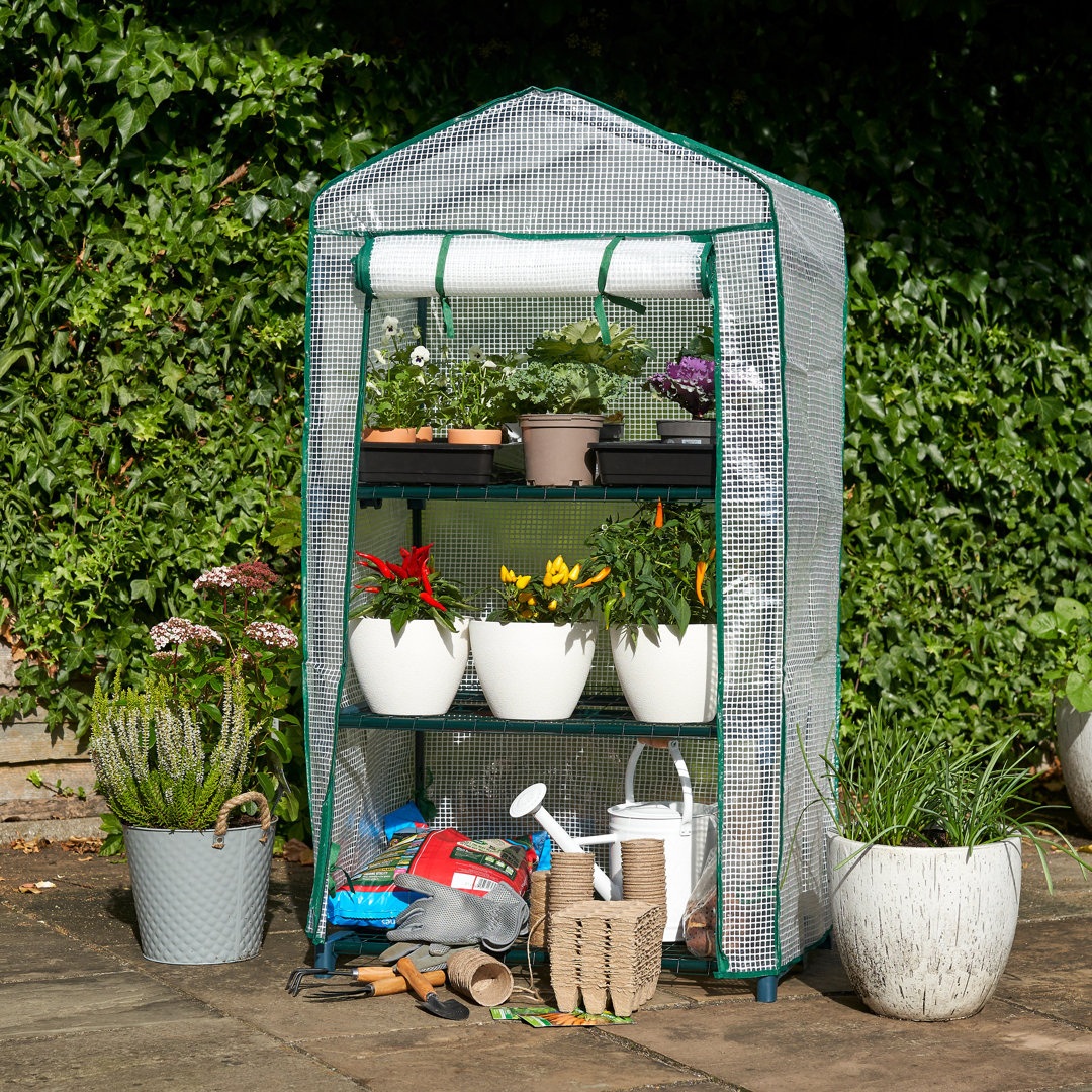 Aroura 2.26 Ft W x 1.6 Ft D Growing Rack