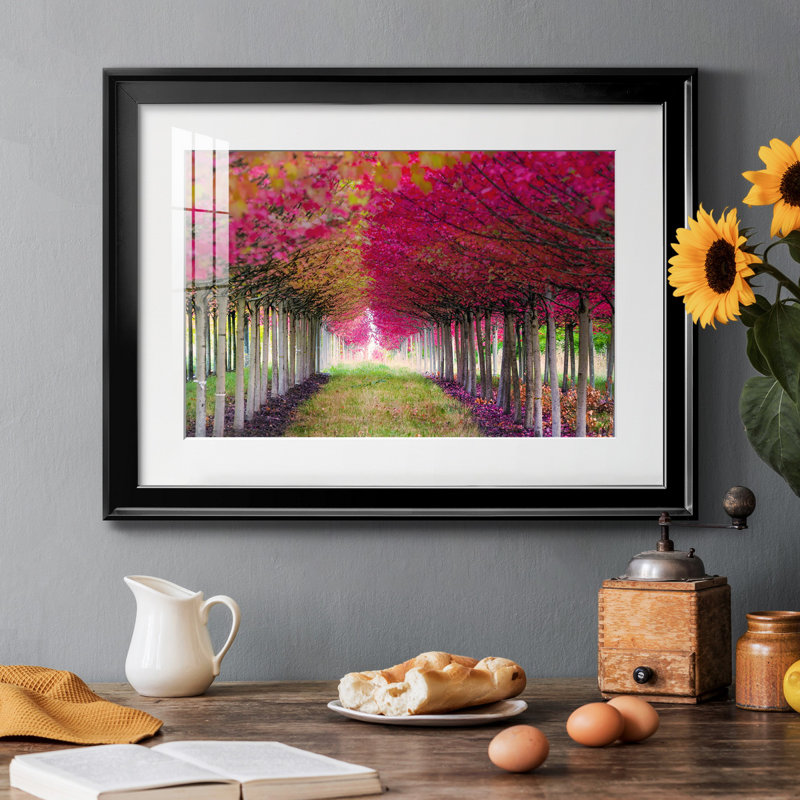 " Forest Magic " Painting Print, Black, 30.5" H x 42.5" W x 1" D, White