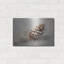 «Pinecone» par Petals Prints Design-1458551292