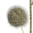 Artificial Pom Pom Spray-1322380019