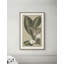 Botanical Jungle 3 Print-1776691839