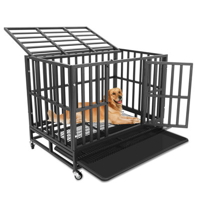 Archie & Oscarâ„ Heavy Duty Dog Crate Metal Kennel, Pet Cage With Lockable Wheels, High Anxiety Double Door For Medium Large Dogs