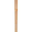 Attelle de genou Westlake-87189215-31230611-29310046