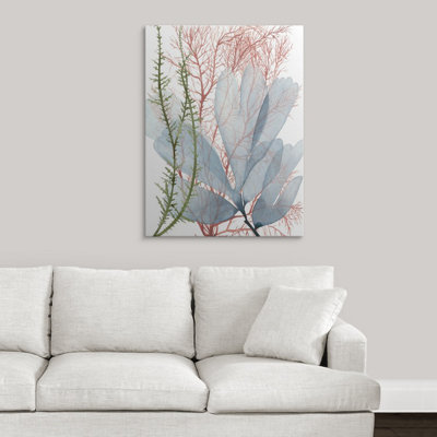 «Seaweed Flow I» par Grace Popp, impression