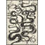 Snake Pathway Print by Thom Filicia